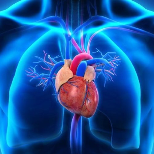 Capital Hospital Cardiology Care