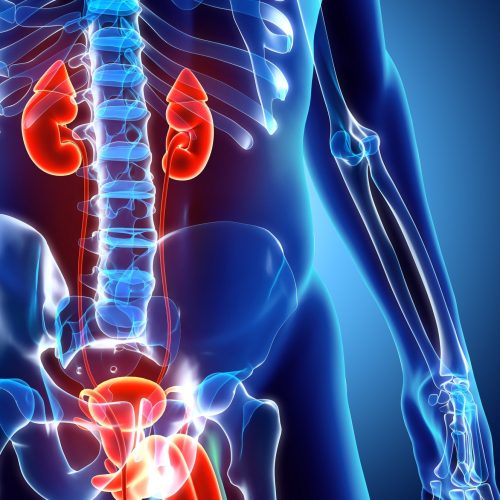 Capital Hospital Urology